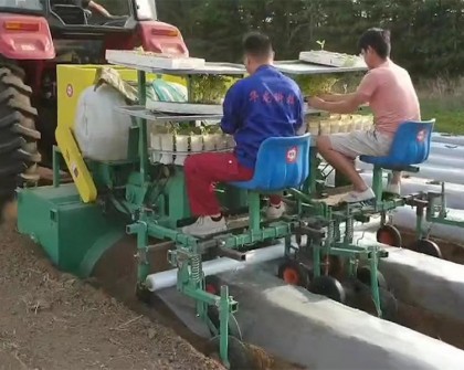 雙壟旋耕起壟施肥開穴移栽澆水覆膜一體機